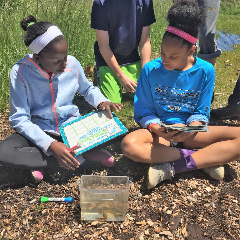 Environmental Education: A Strategy For Today & Tomorrow’s World 