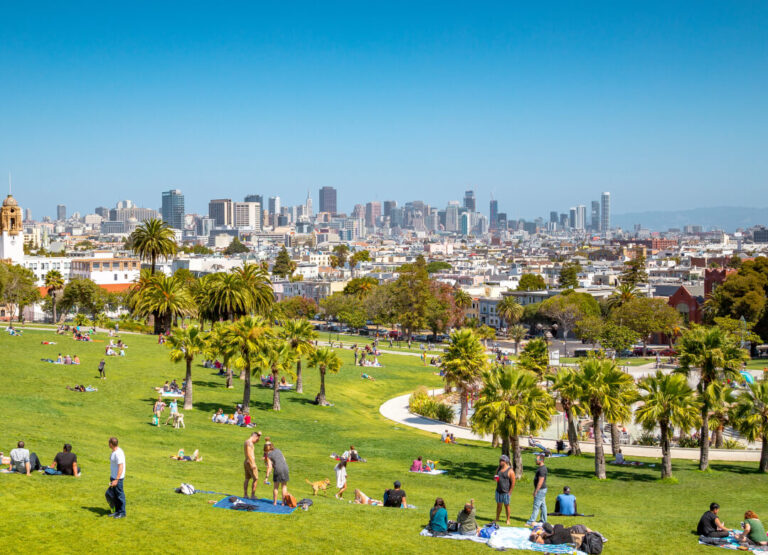 People relax and gather on a grassy hill in a city park with palm trees, with the San Francisco skyline visible in the background under a clear blue sky.