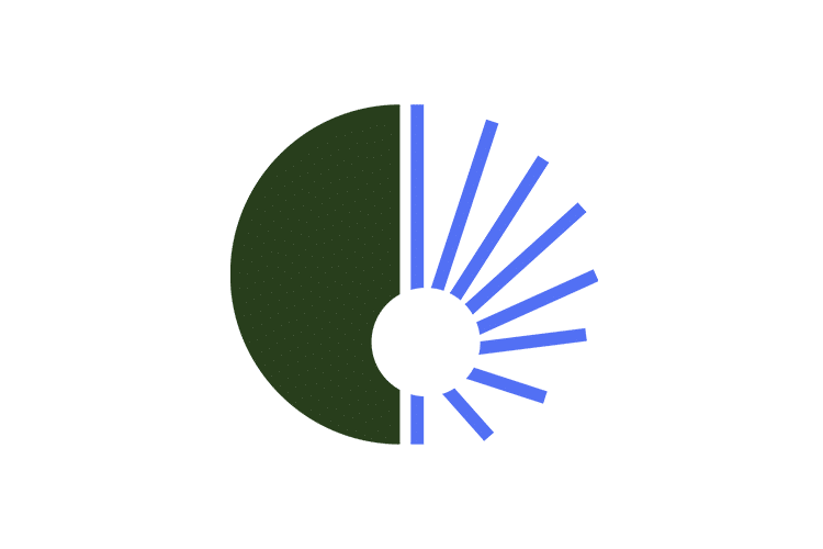 A circular chart with the left half in dark green and the right half divided into eight blue segments of varying lengths, radiating outward from a central white circle, on a white background.